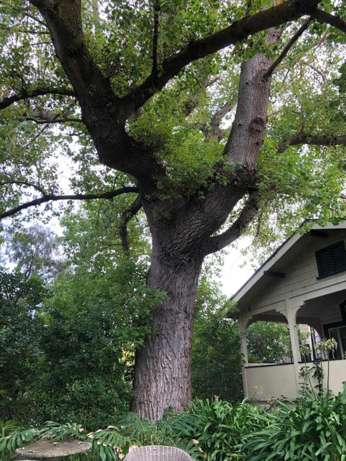 Lorelei Bed & Breakfast Portland Exterior foto